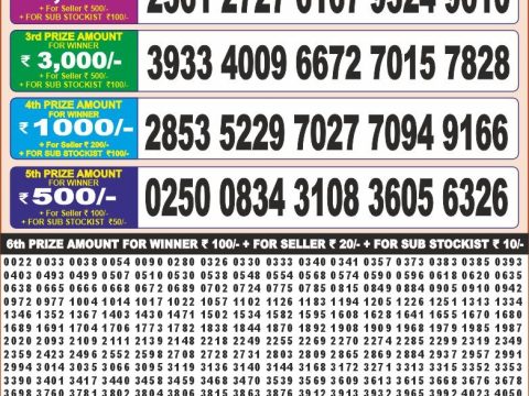 Punjab 50 Monthly Lottery Result