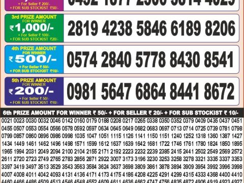 Punjab State Dear 20 Monthly Lottery Result 26-08-2025