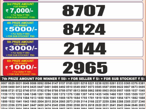 Punjab state dear 20 Monthly lottery Result 25.11.2025 Published