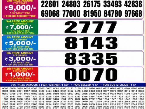Punjab State Dear 20 Monthly Lottery Result 26-05-2026