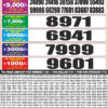 Punjab State 20 Monthly Lottery Result 28-07-2026