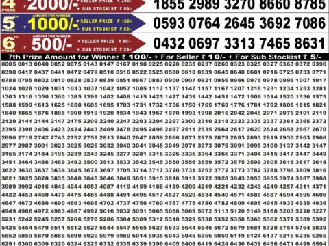 Punjab State Dear 50 Ranger Sunday Weekly Lottery Result 6:30pm 16-08-2026 Declared