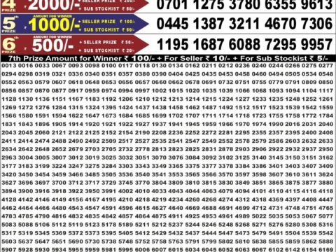 Punjab State Dear 50 Beast Monday Weekly Lottery Result 6:30pm 17-08-2026 Declared