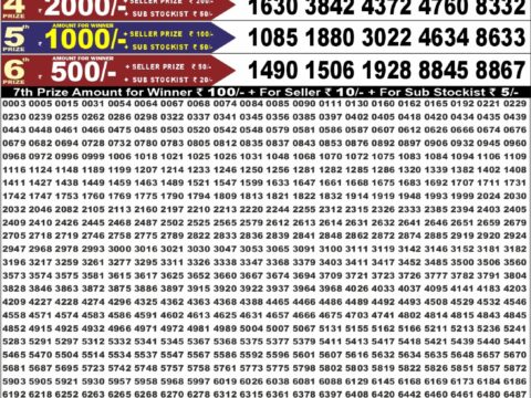 Punjab State Dear 50 Bronco Tuesday Weekly Lottery Result 6:30pm 18-08-2026 Declared