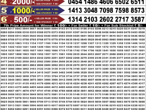 Punjab State Dear 50 Jackal Saturday Weekly Lottery Result 6:30pm 22-08-2026 Declared