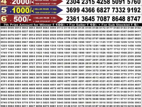 Punjab State Dear 50 Ranger Sunday Weekly Lottery Result 6:30pm 23-08-2026 Declared