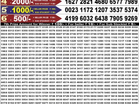 Punjab State Dear 50 Chief Thursday Weekly Lottery Result 6:30pm 27-08-2026 Declared