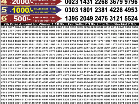 Punjab State Dear 50 Colt Friday Weekly Lottery Result 6:30pm 28-08-2026 Declared