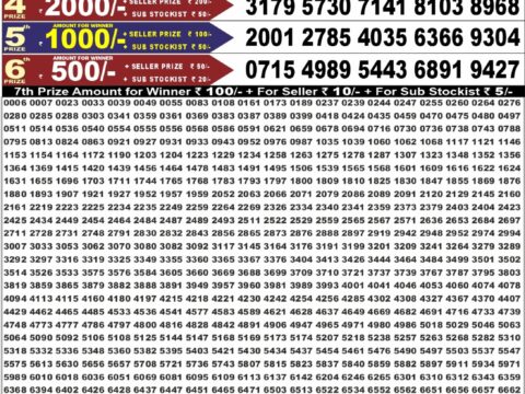 Punjab State Dear 50 Jackal Saturday Weekly Lottery Result 6:30pm 29-08-2026 Declared