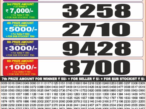 Punjab State 20 Monthly Lottery Result 25-08-2026 Punjab State 20 Monthly Lottery Result