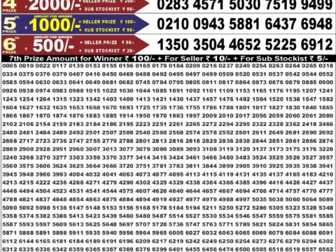 Punjab State Dear 50 Jackal Saturday Weekly Lottery Result 6:30pm 12-09-2026 Declared