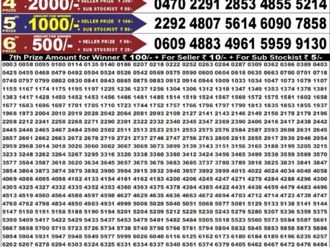Punjab State Dear 50 Bronco Tuesday Weekly Lottery Result 6:30pm 15-09-2026 Declared