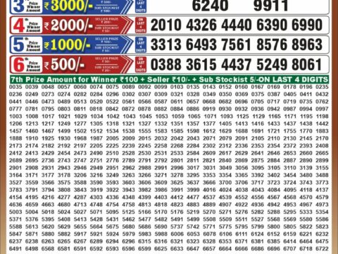 Punjab State Dear 50 Jackal Saturday Weekly Lottery Result 6:30pm 19-09-2026 Declared