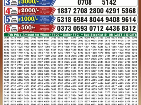 Punjab State Dear 50 Bronco Tuesday Weekly Lottery Result 6:30pm 13-10-2026 Declared